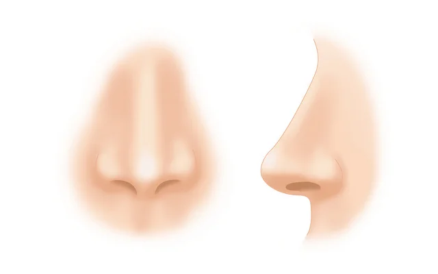他院の鼻の整形手術の修正が専門