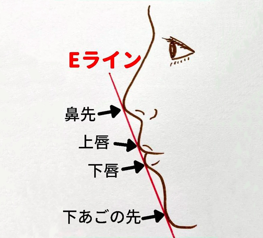 日本人の理想的なEラインを示したイラスト